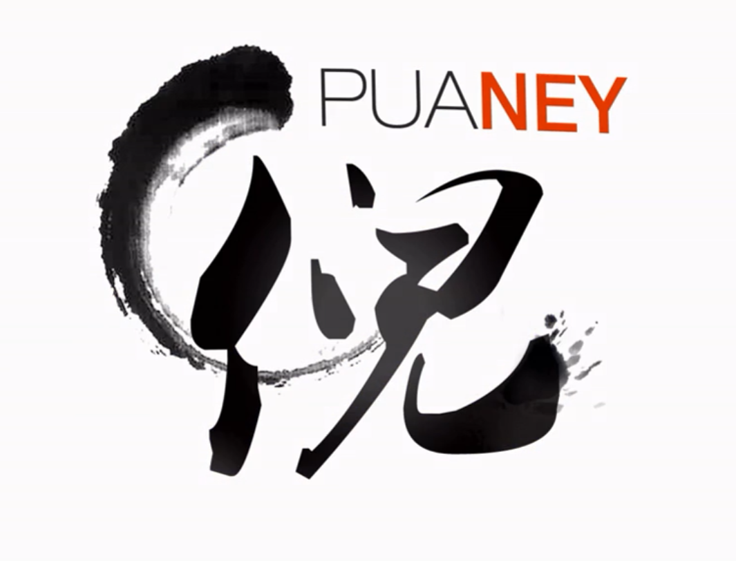 倪8.0《网络视频课》经典课程