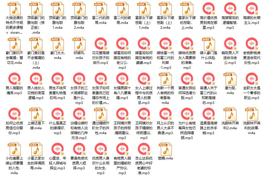 女生富贵之路-《富贵兵团》
