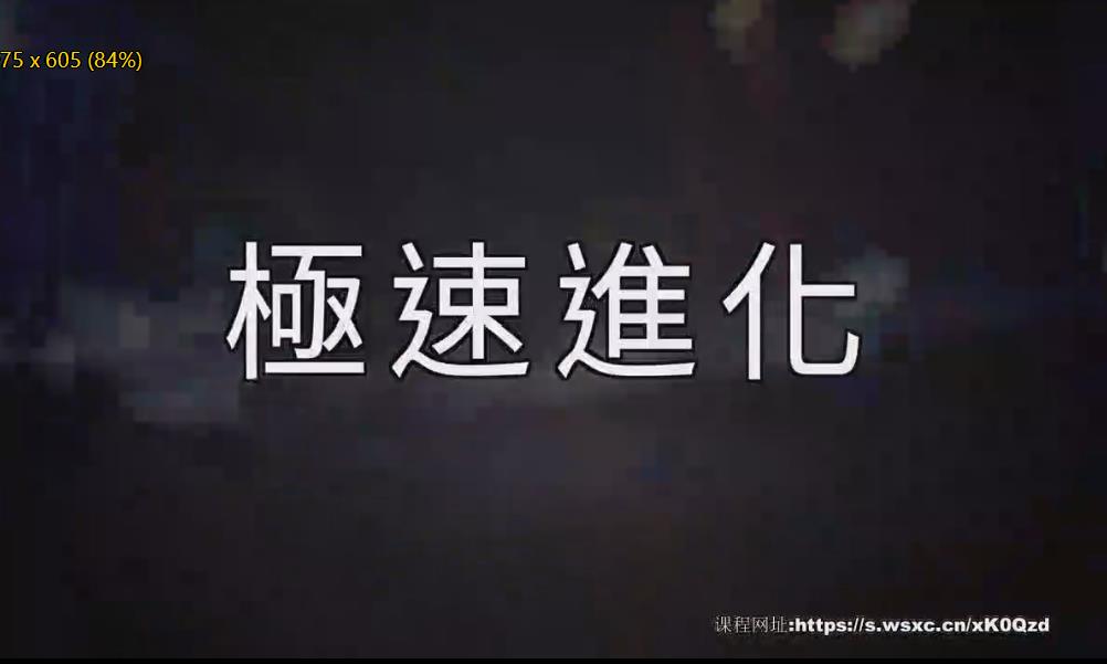 AMG《极速进化》