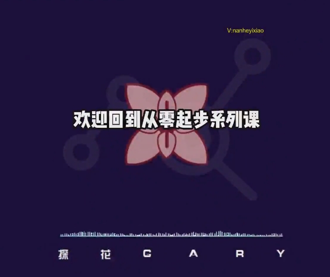 探花Gary《社交蓝图从零到社交高手系列课情商提升构建社交体系》33节