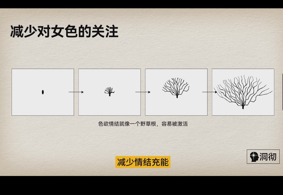 邪淫系统自救课(戒色)